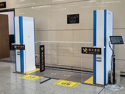 Aduanas y control fronterizo